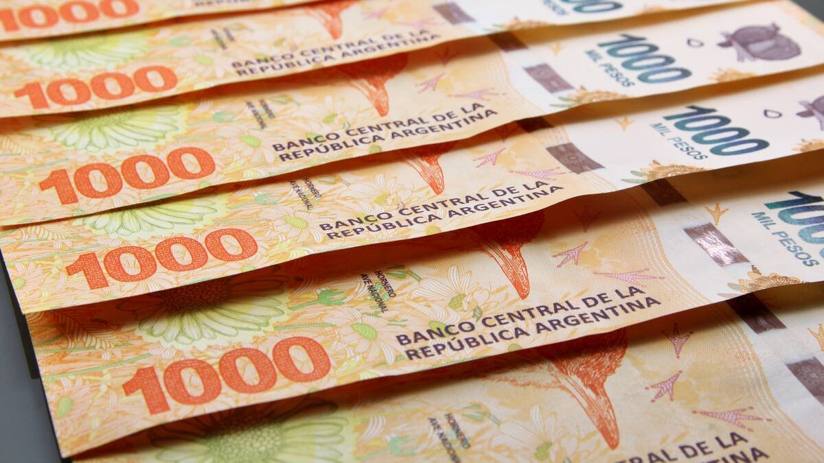 Aguinaldo 2024: ¿qué pasa si no lo cobré en junio?